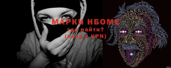 МДПВ Вяземский