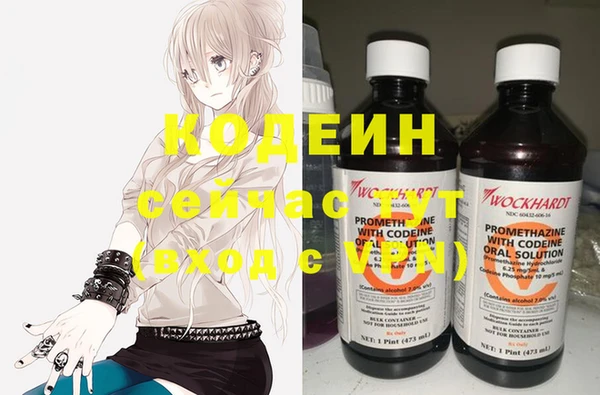крисы Гусь-Хрустальный