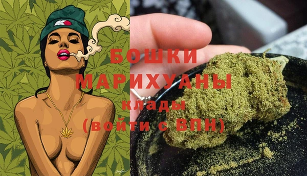 МДПВ Вяземский