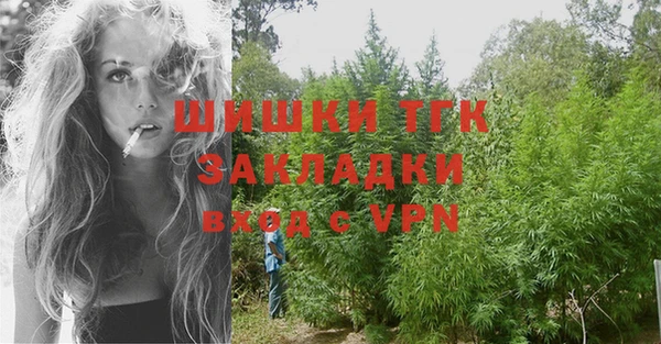 МДПВ Вяземский