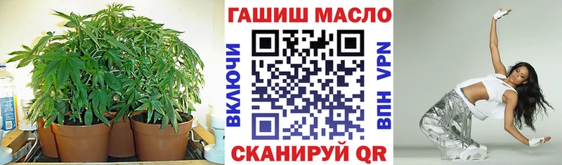 Дистиллят ТГК THC oil  где купить наркоту  Жиздра 