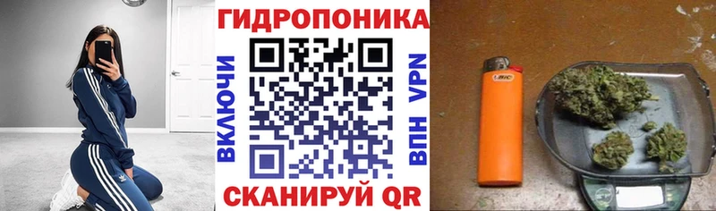 Конопля LSD WEED Жиздра